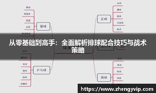 从零基础到高手：全面解析排球配合技巧与战术策略