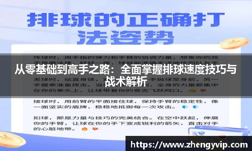 从零基础到高手之路：全面掌握排球速度技巧与战术解析