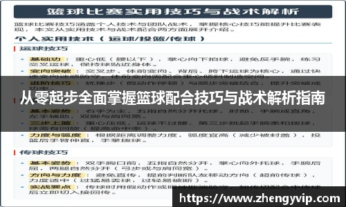 从零起步全面掌握篮球配合技巧与战术解析指南